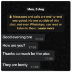 whatsapp review 2